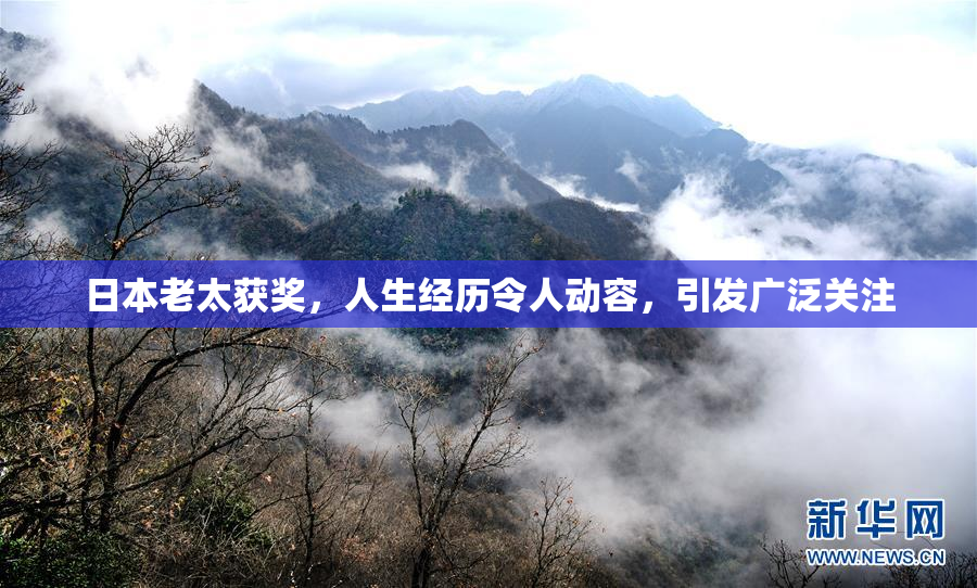 日本老太获奖，人生经历令人动容，引发广泛关注