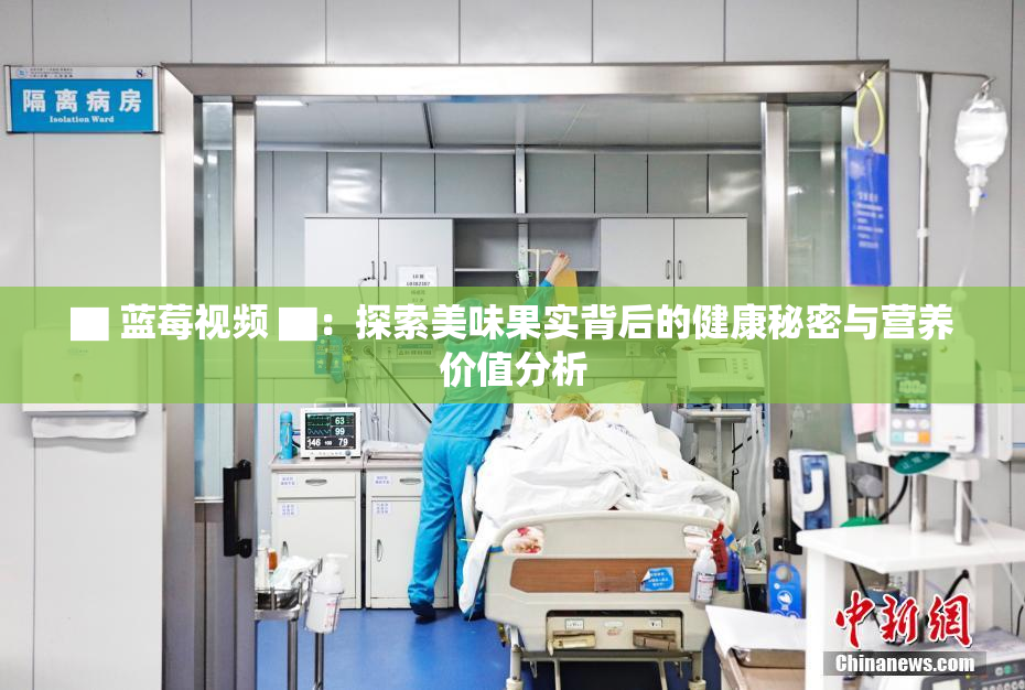 ▇ 蓝莓视频 ▇：探索美味果实背后的健康秘密与营养价值分析