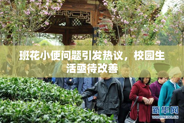 班花小便问题引发热议，校园生活亟待改善