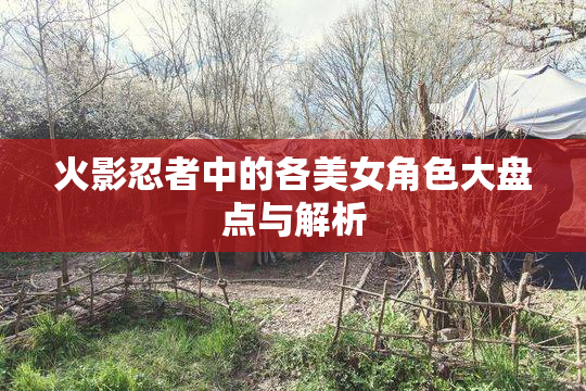 火影忍者中的各美女角色大盘点与解析