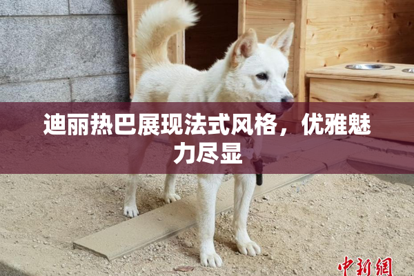 迪丽热巴展现法式风格，优雅魅力尽显