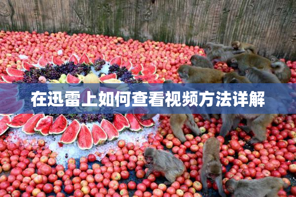 在迅雷上如何查看视频方法详解