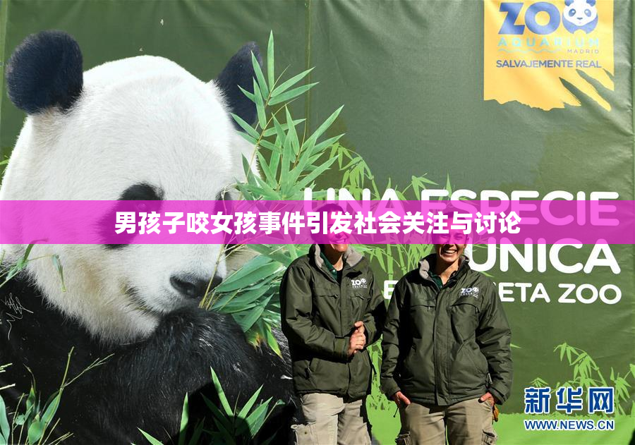 男孩子咬女孩事件引发社会关注与讨论