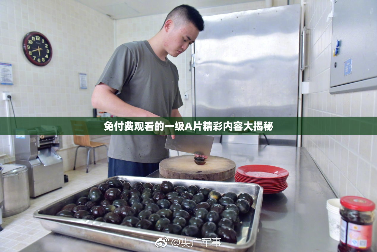 免付费观看的一级A片精彩内容大揭秘