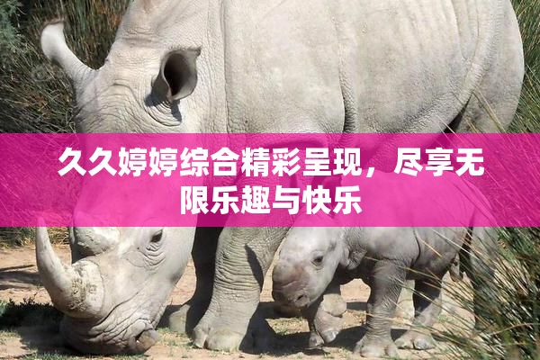 久久婷婷综合精彩呈现，尽享无限乐趣与快乐