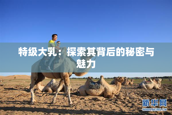 特级大乳：探索其背后的秘密与魅力