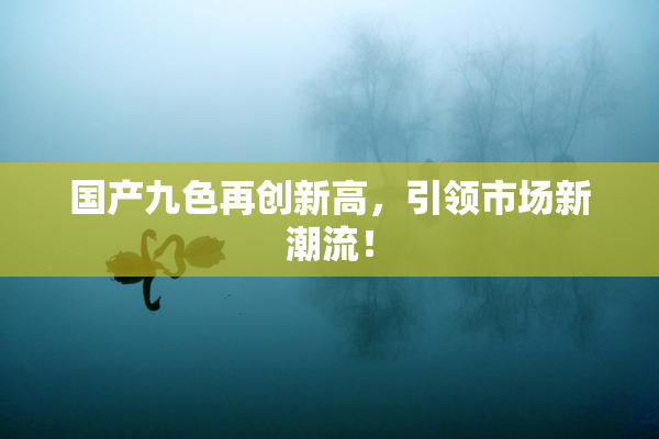 国产九色再创新高，引领市场新潮流！