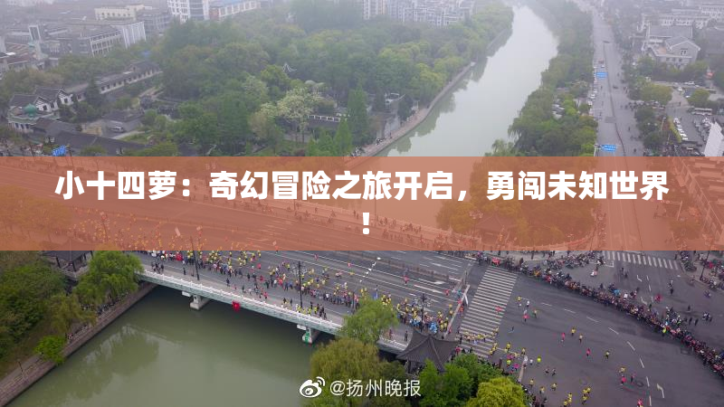 小十四萝：奇幻冒险之旅开启，勇闯未知世界！