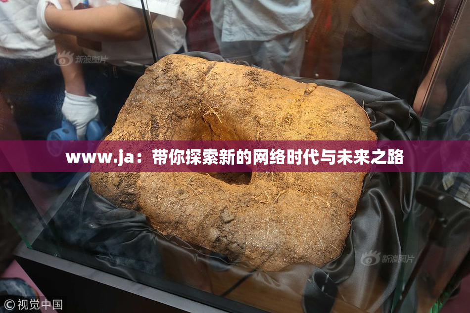 www.ja：带你探索新的网络时代与未来之路