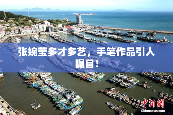 张婉莹多才多艺，手笔作品引人瞩目！