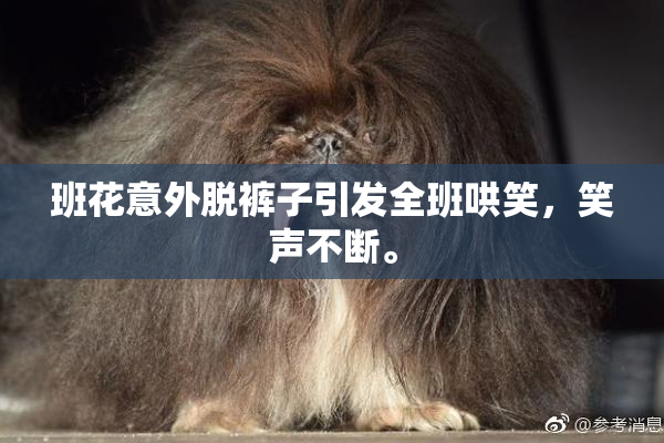 班花意外脱裤子引发全班哄笑，笑声不断。