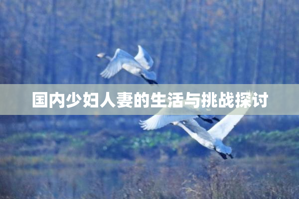 国内少妇人妻的生活与挑战探讨