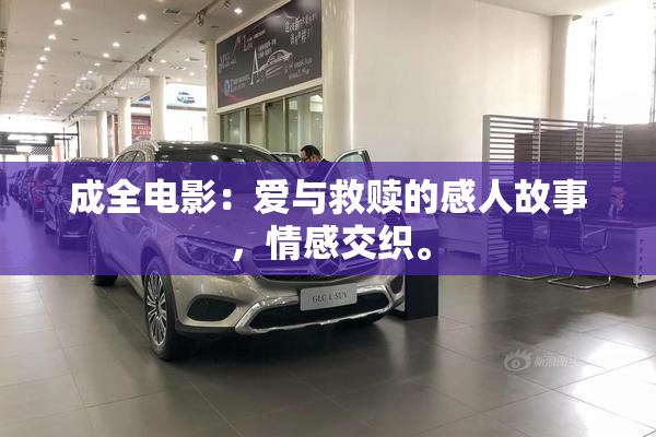成全电影：爱与救赎的感人故事，情感交织。