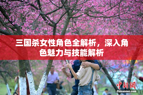 三国杀女性角色全解析，深入角色魅力与技能解析