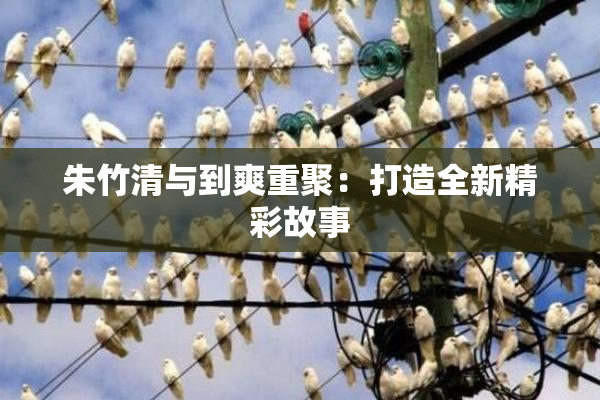 朱竹清与到爽重聚：打造全新精彩故事