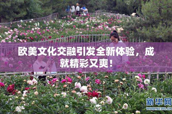 欧美文化交融引发全新体验，成就精彩又爽！