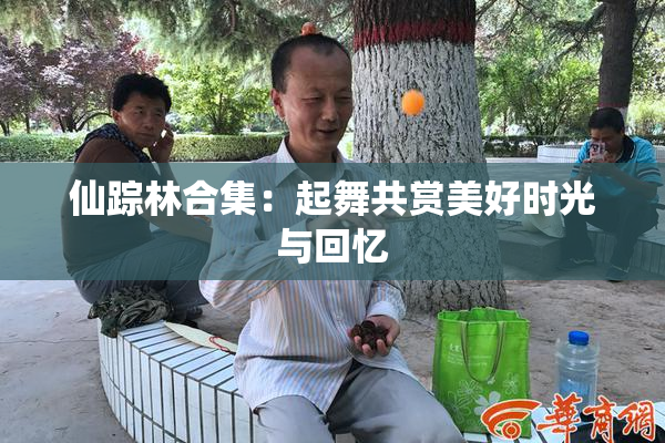 仙踪林合集：起舞共赏美好时光与回忆
