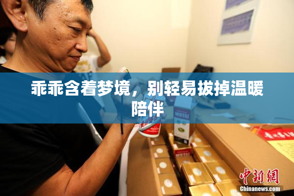 乖乖含着梦境，别轻易拔掉温暖陪伴