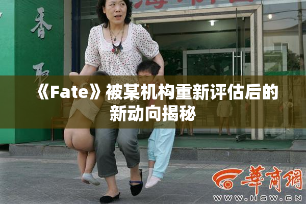 《Fate》被某机构重新评估后的新动向揭秘