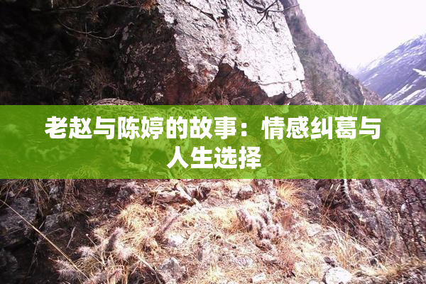 老赵与陈婷的故事：情感纠葛与人生选择