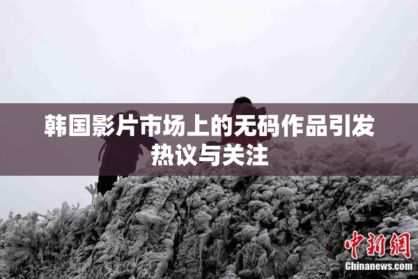 韩国影片市场上的无码作品引发热议与关注