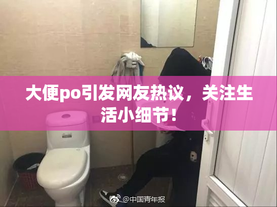 大便po引发网友热议，关注生活小细节！