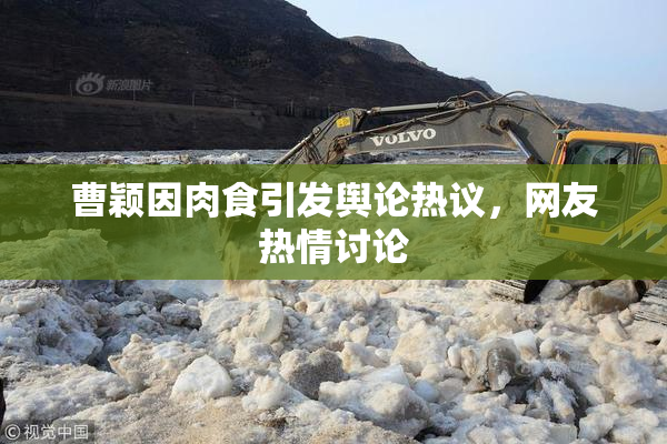 曹颖因肉食引发舆论热议，网友热情讨论