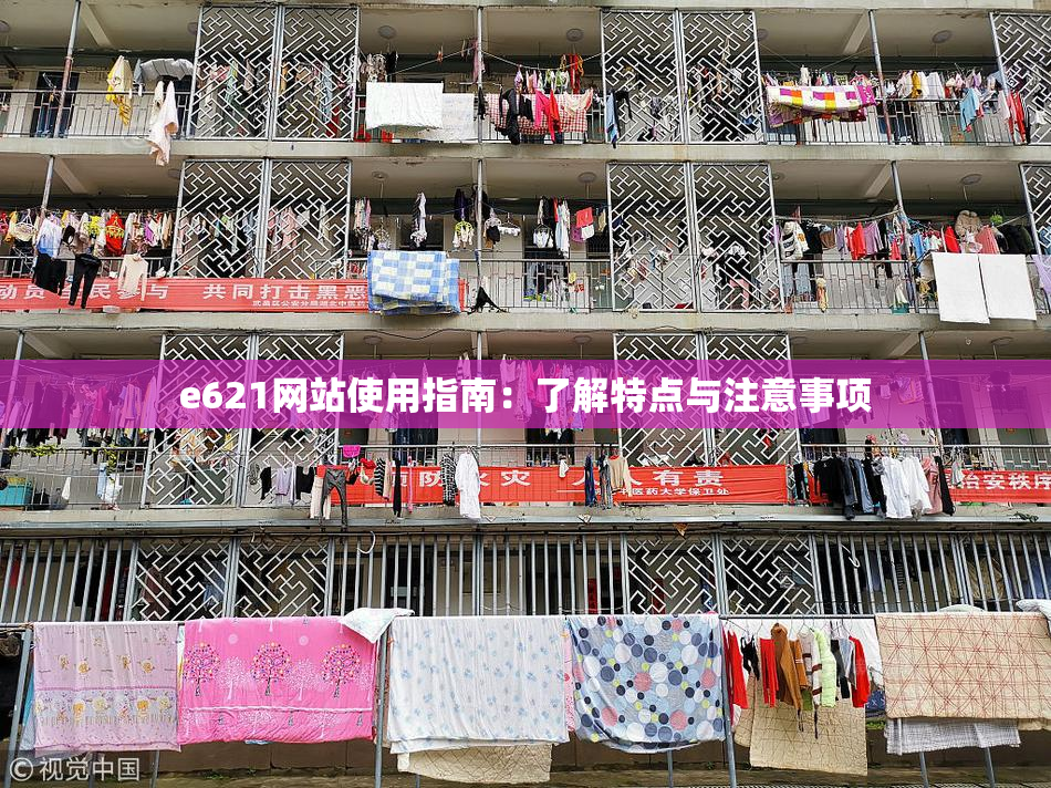 e621网站使用指南：了解特点与注意事项