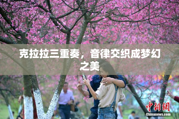 克拉拉三重奏，音律交织成梦幻之美