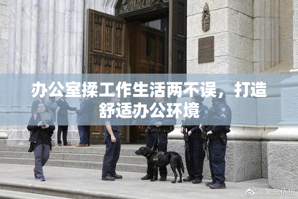 办公室揉工作生活两不误，打造舒适办公环境