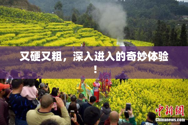 又硬又粗，深入进入的奇妙体验！