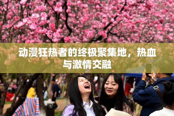 动漫狂热者的终极聚集地，热血与激情交融