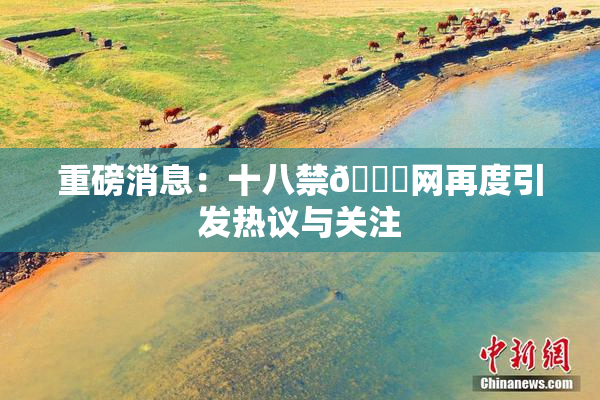 重磅消息：十八禁🔞网再度引发热议与关注