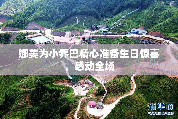 娜美为小乔巴精心准备生日惊喜，感动全场