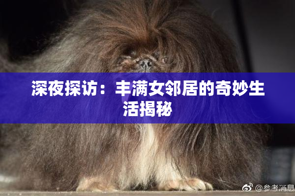 深夜探访：丰满女邻居的奇妙生活揭秘