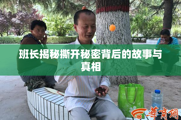 班长揭秘撕开秘密背后的故事与真相
