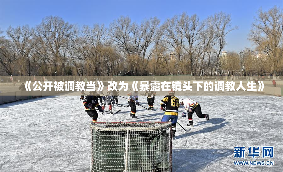 《公开被调教当》改为《暴露在镜头下的调教人生》