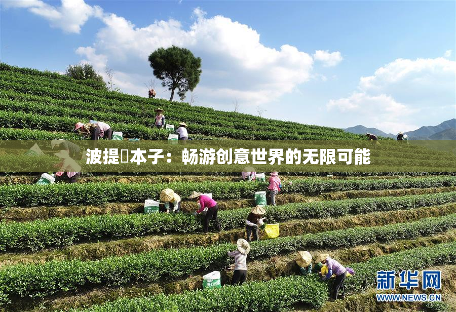 波提歐本子：畅游创意世界的无限可能