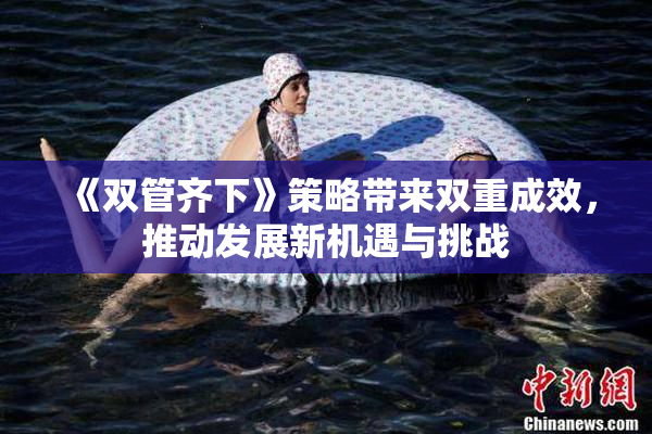 《双管齐下》策略带来双重成效，推动发展新机遇与挑战