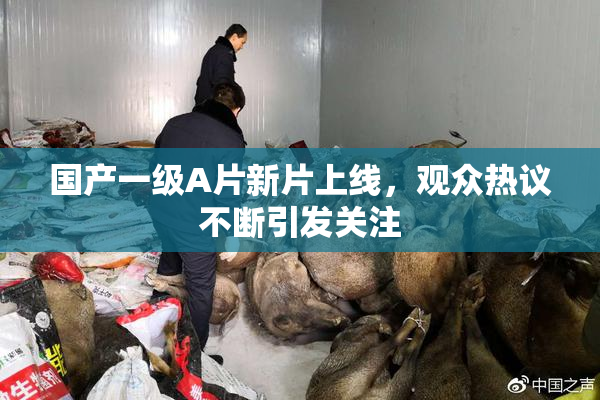 国产一级A片新片上线，观众热议不断引发关注