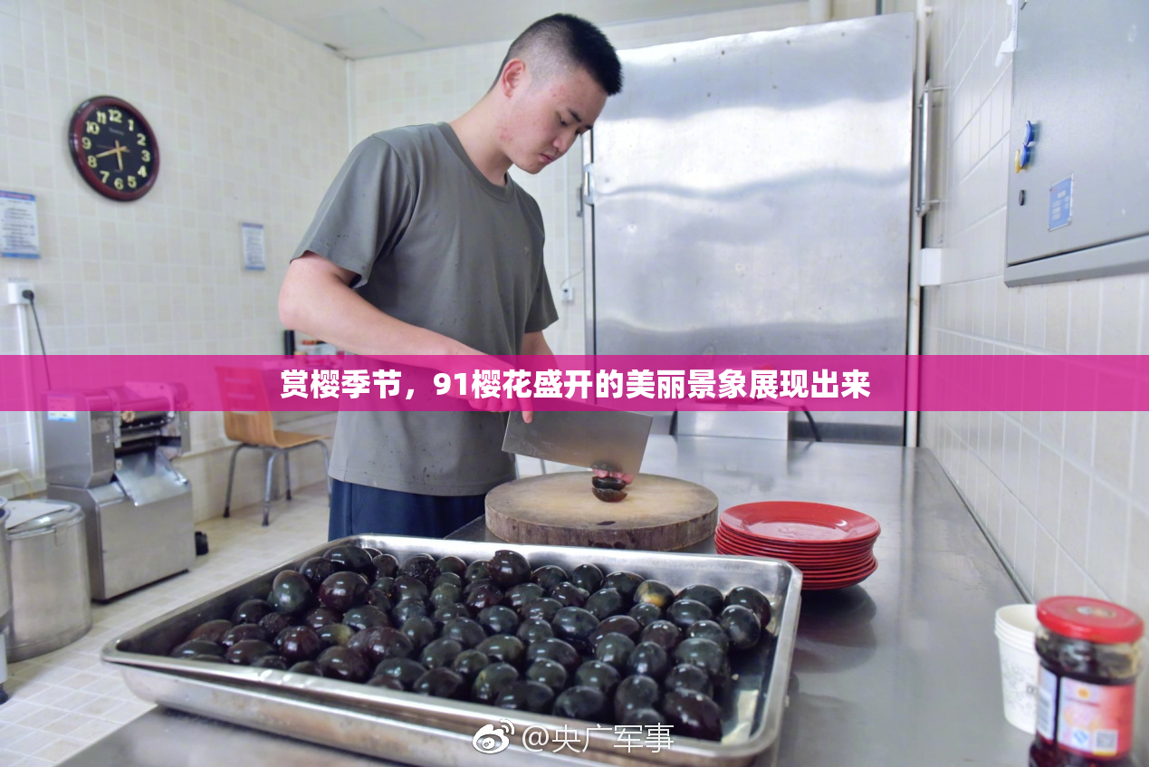 赏樱季节，91樱花盛开的美丽景象展现出来
