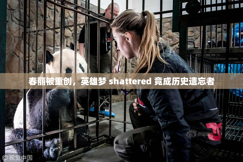 春丽被重创，英雄梦 shattered 竟成历史遗忘者
