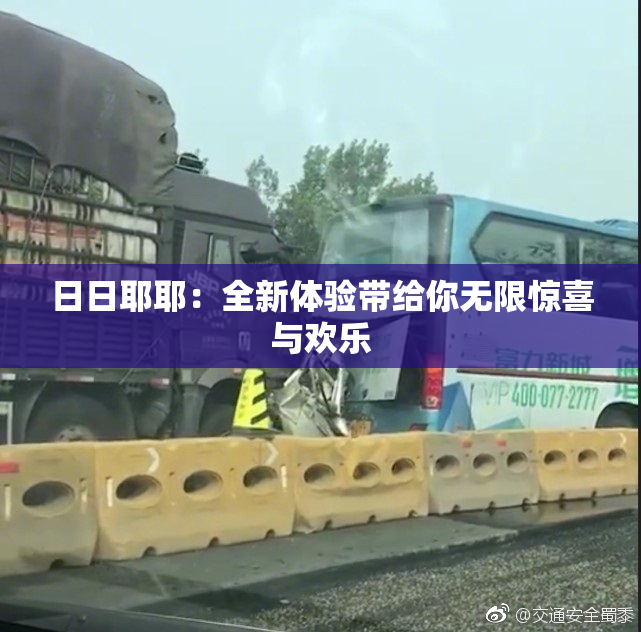 日日耶耶：全新体验带给你无限惊喜与欢乐