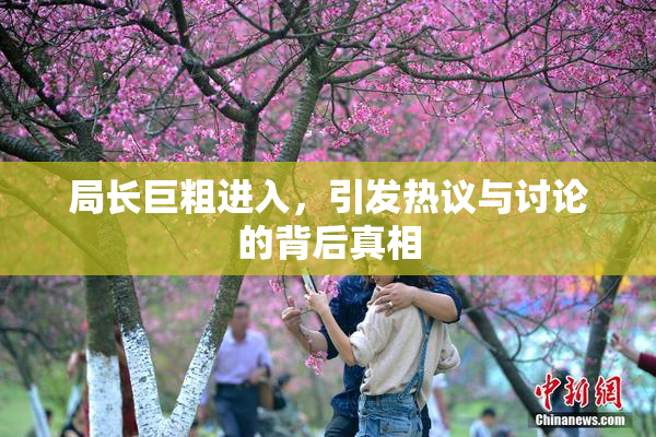 局长巨粗进入，引发热议与讨论的背后真相