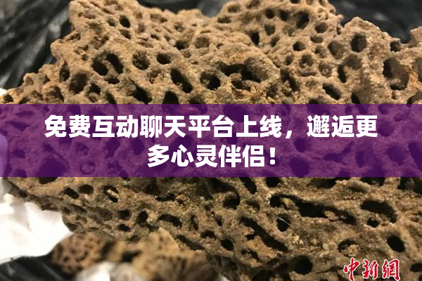 免费互动聊天平台上线，邂逅更多心灵伴侣！