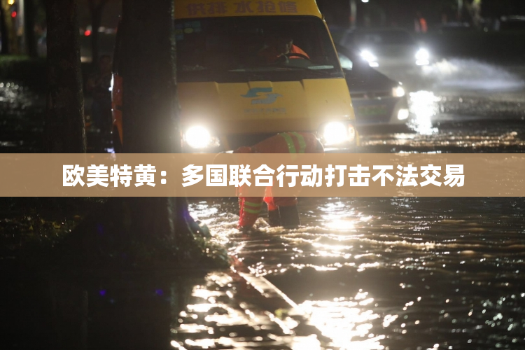 欧美特黄：多国联合行动打击不法交易