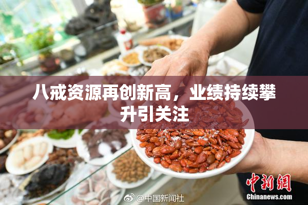 八戒资源再创新高，业绩持续攀升引关注
