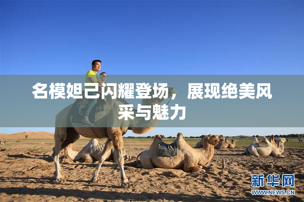 名模妲己闪耀登场，展现绝美风采与魅力