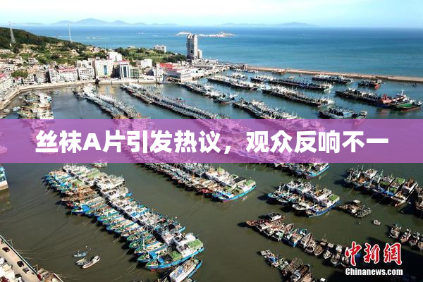 丝袜A片引发热议，观众反响不一