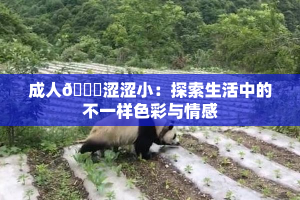 成人🔞涩涩小：探索生活中的不一样色彩与情感